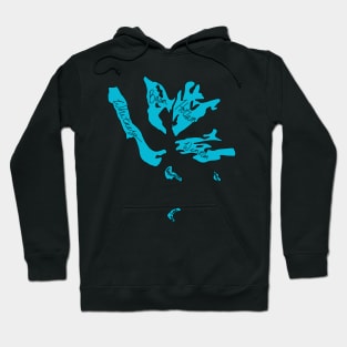 Mount Shasta Glaciers Named Hoodie